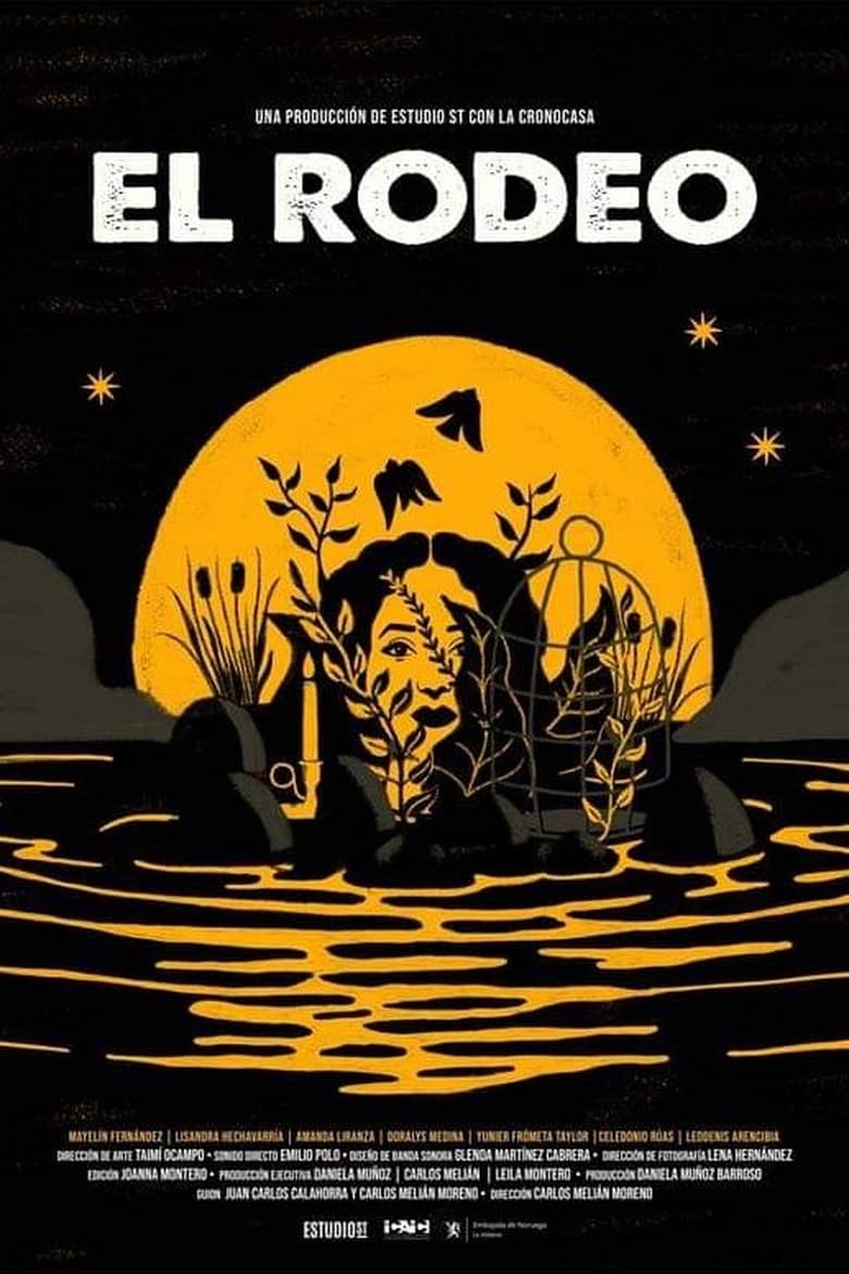 Poster of El rodeo