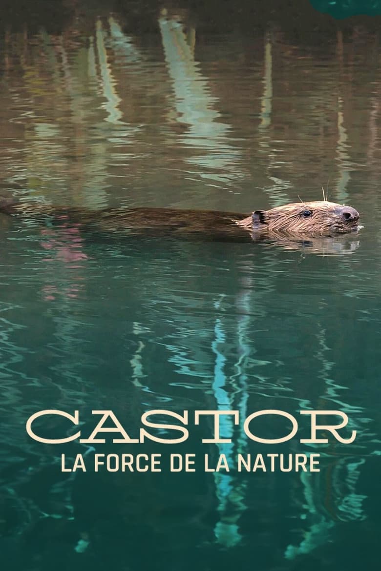 Poster of Castor, la force de la nature