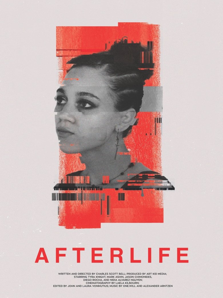 Poster of Afterlife