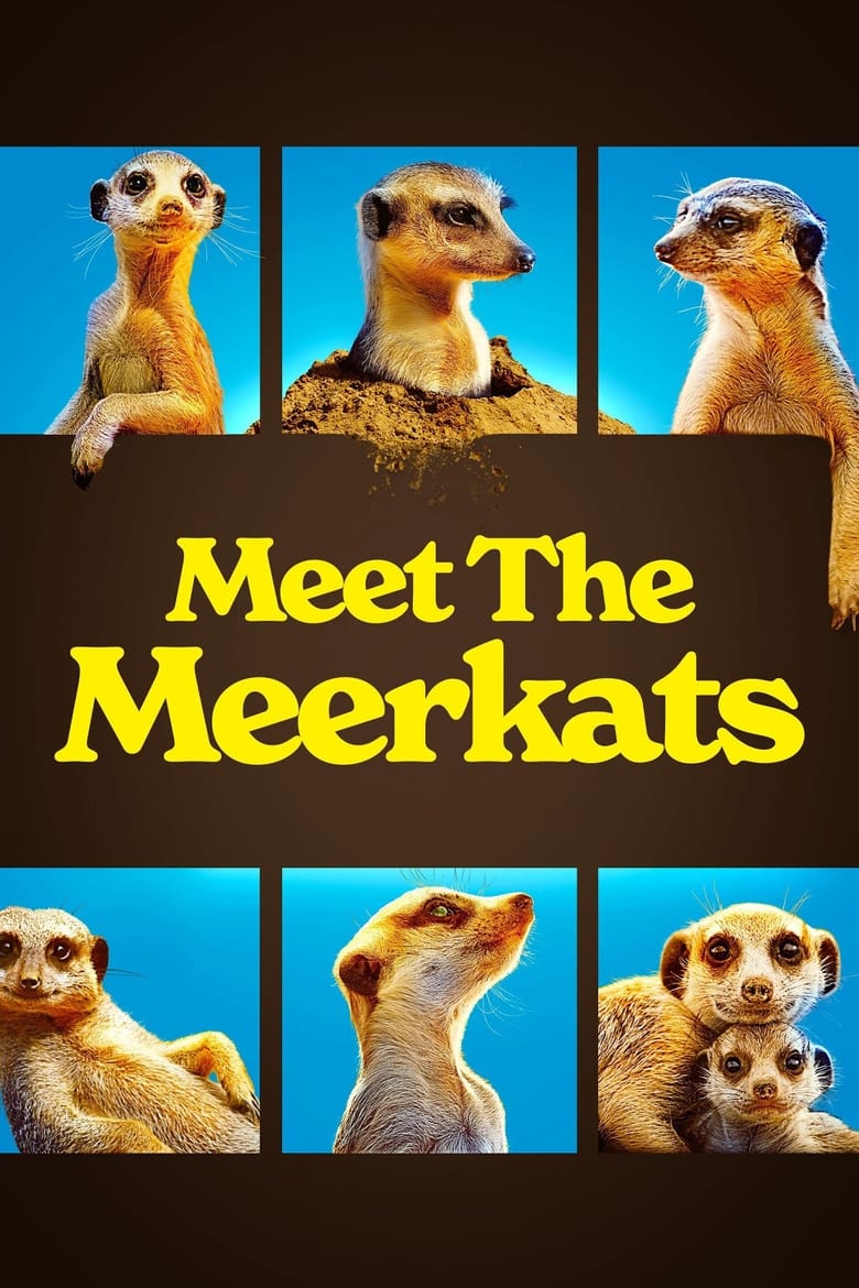 Poster of Episodes in Meet The Meerkats - Season 1 - Season 1