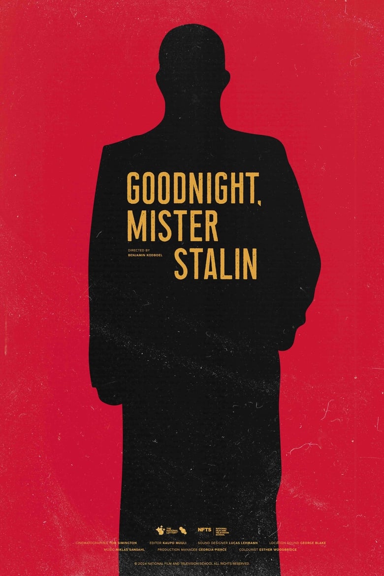 Poster of Goodnight, Mister Stalin