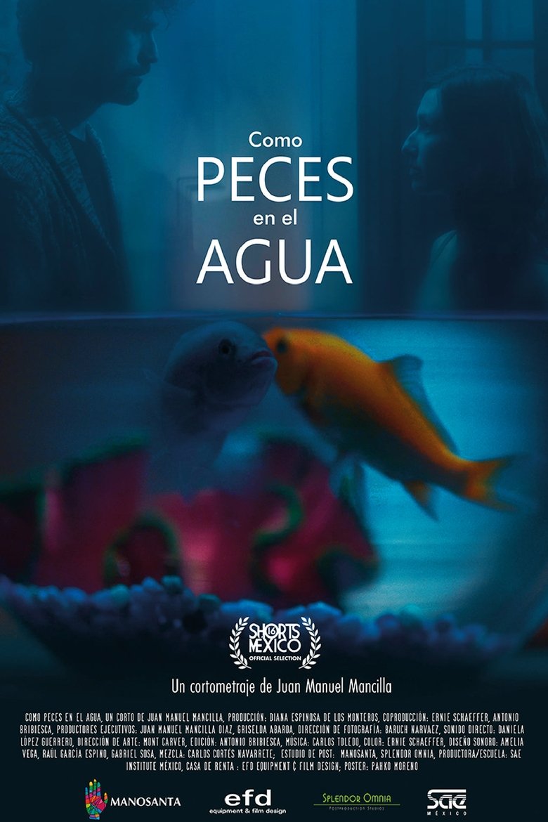 Poster of Como Peces en el Agua