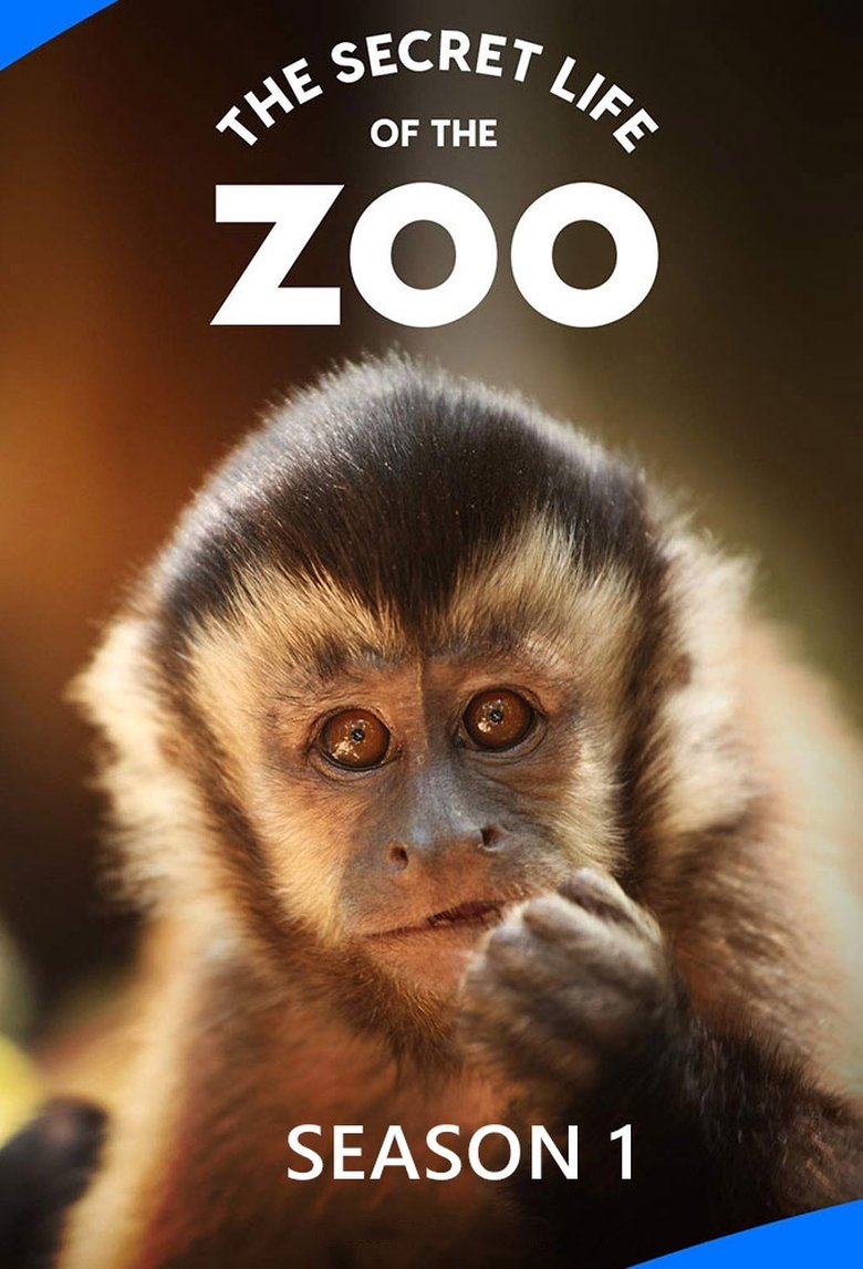 Poster of Episodes in The Secret Life Of The Zoo - Season 1 - Season 1