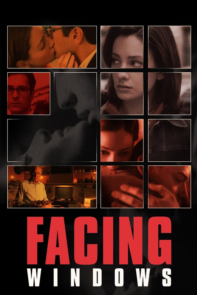 Poster of Facing Windows