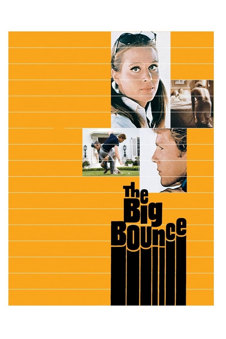 Poster of The Big Bounce