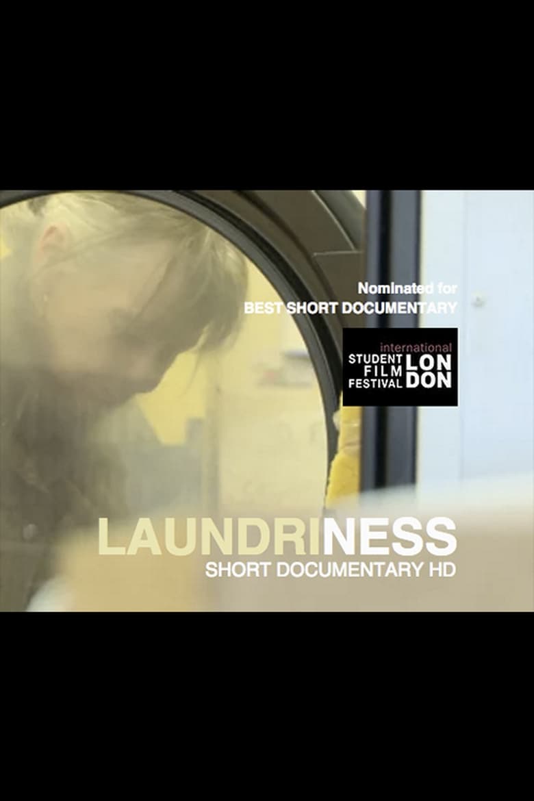 Poster of Laundriness