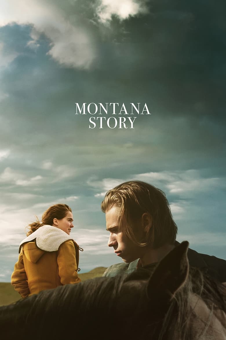 Poster of Montana Story