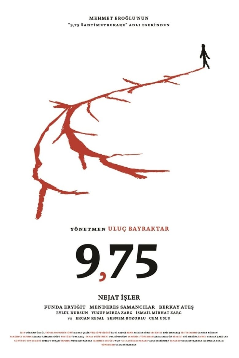 Poster of 9,75