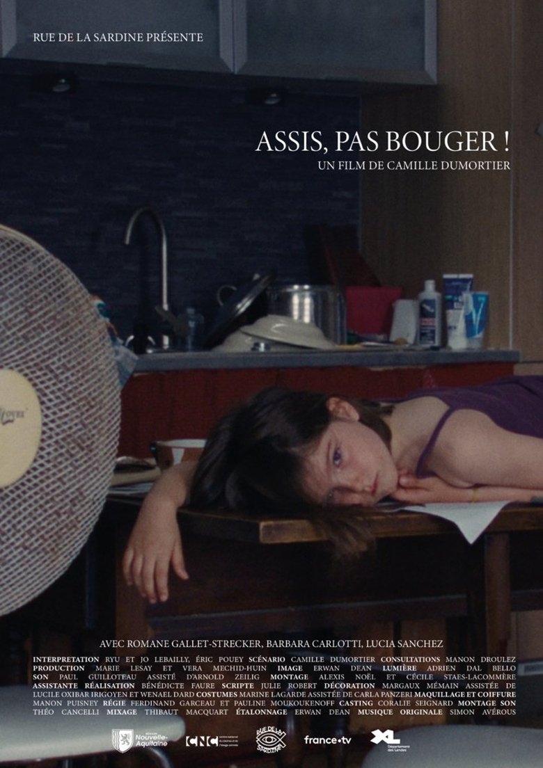 Poster of Assis, pas bouger
