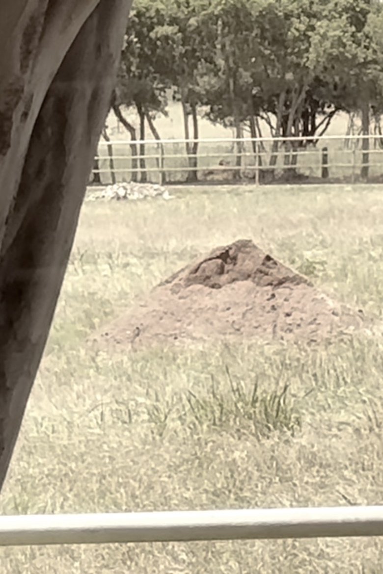 Poster of Dirt