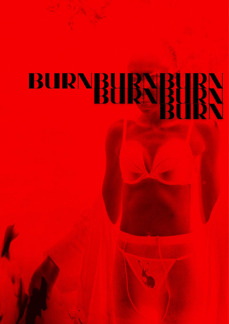 Poster of BURNBURNBURN