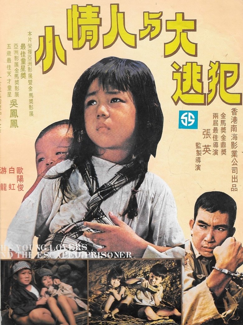 Poster of The Young Lovers and the Escaped Prisoner