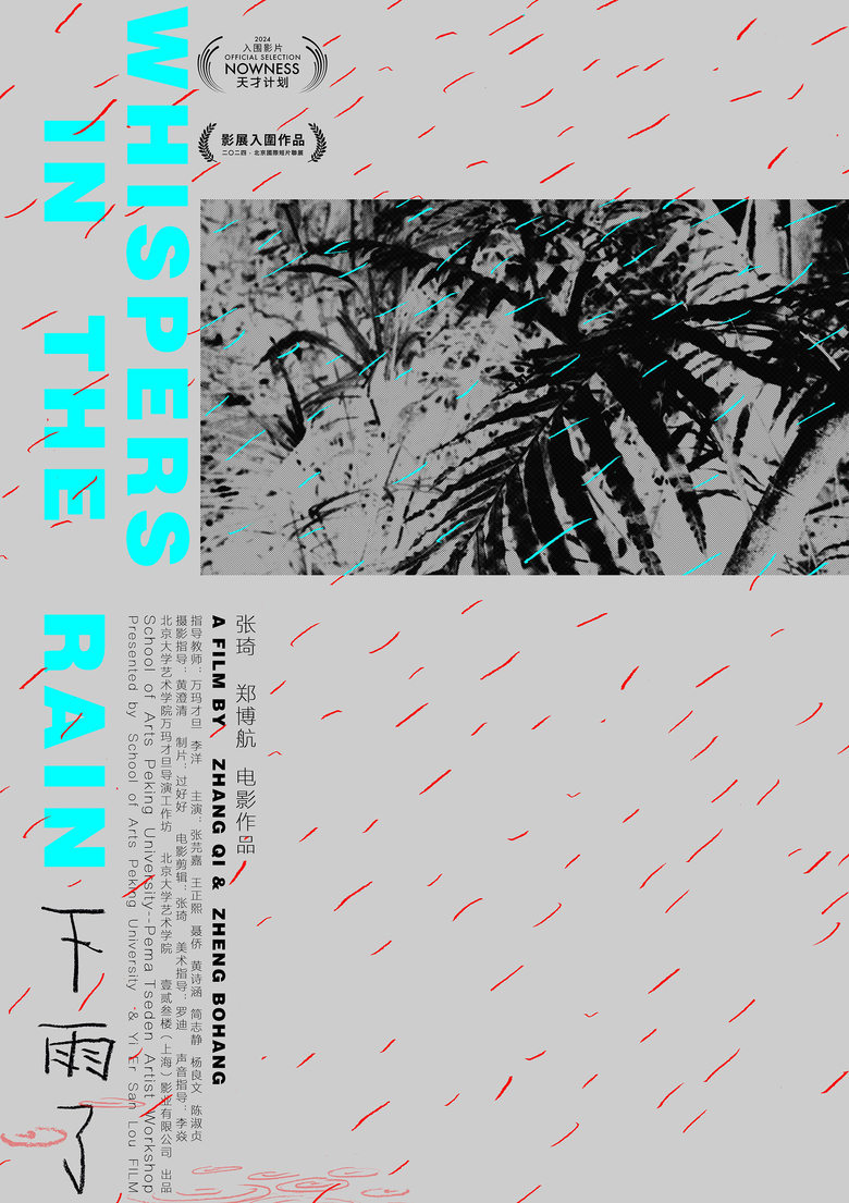 Poster of Whispers in the Rain