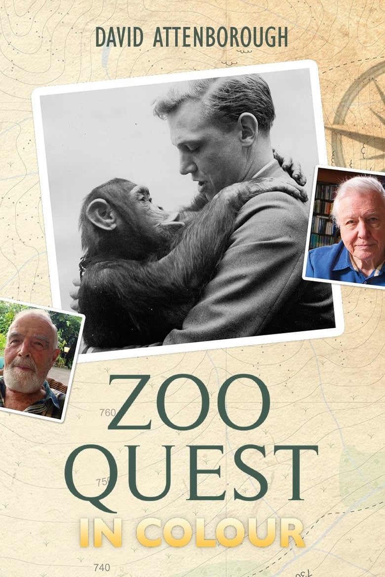 Poster of Zoo Quest in Colour