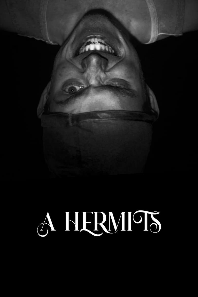 Poster of A Hermits