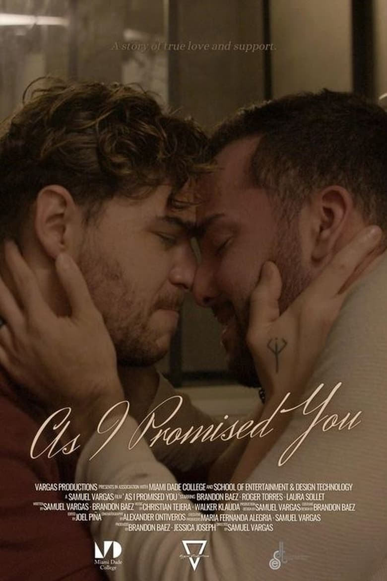 Poster of As I Promised You