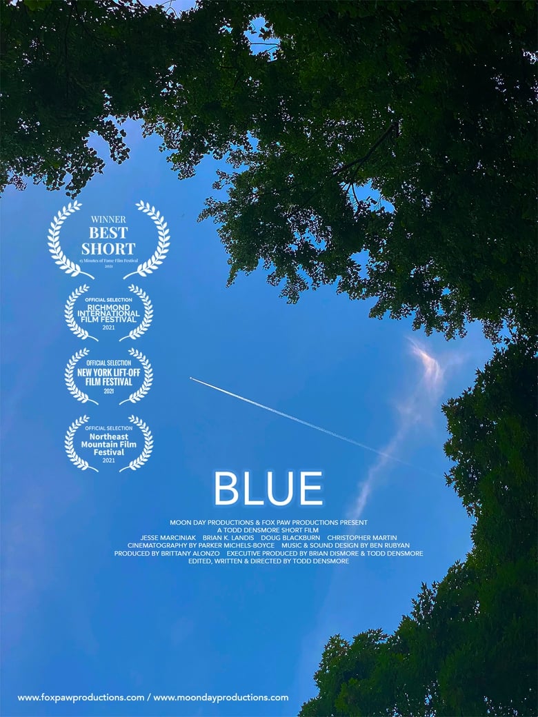 Poster of Blue