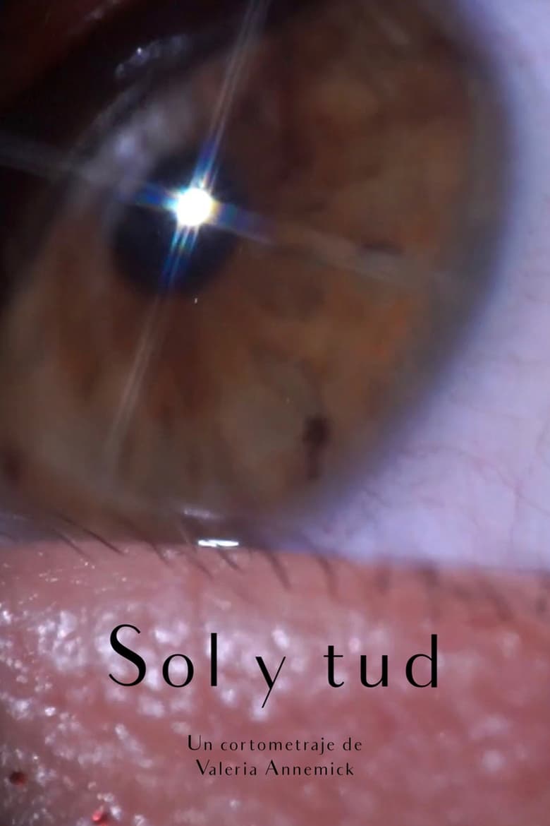 Poster of Sol y tud