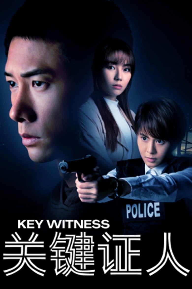 Poster of Key Witness