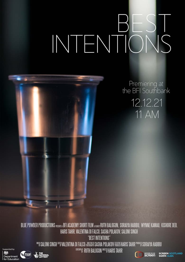 Poster of Best Intentions