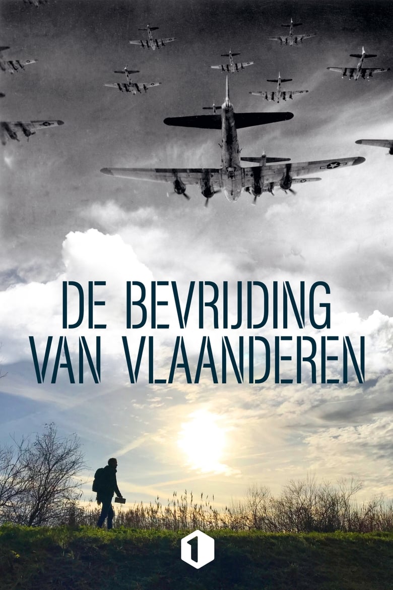 Poster of De bevrijding van Vlaanderen