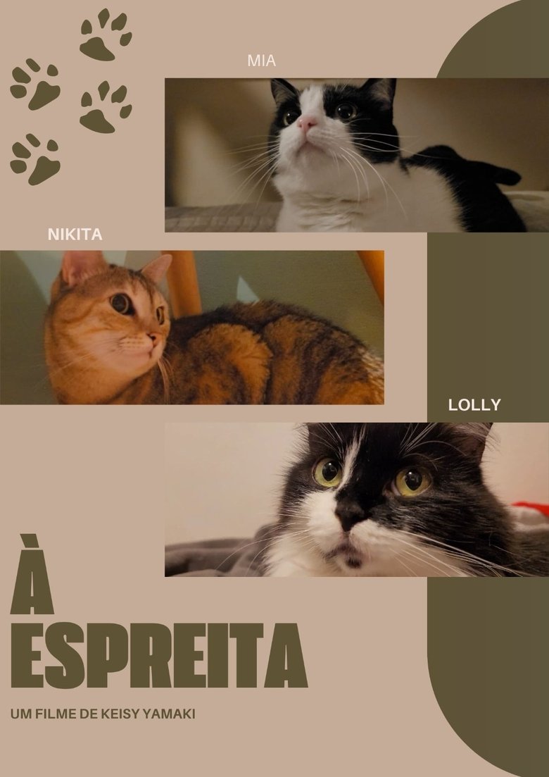 Poster of À Espreita