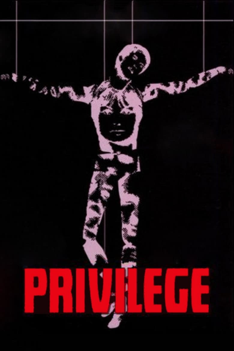 Poster of Privilege