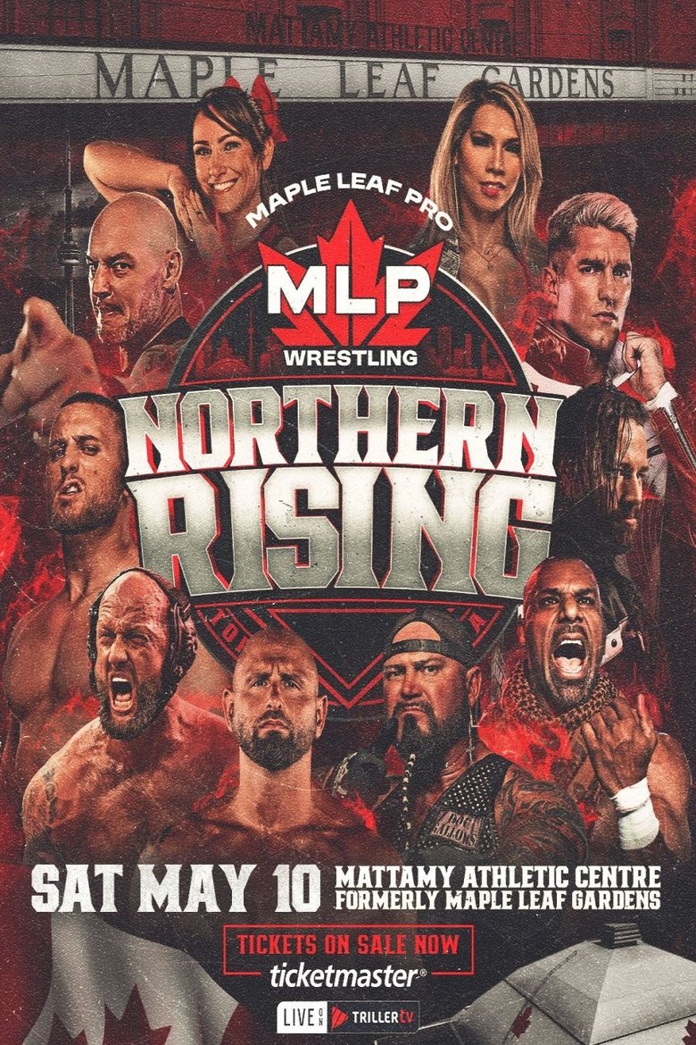 Poster of MLP Northern Rising