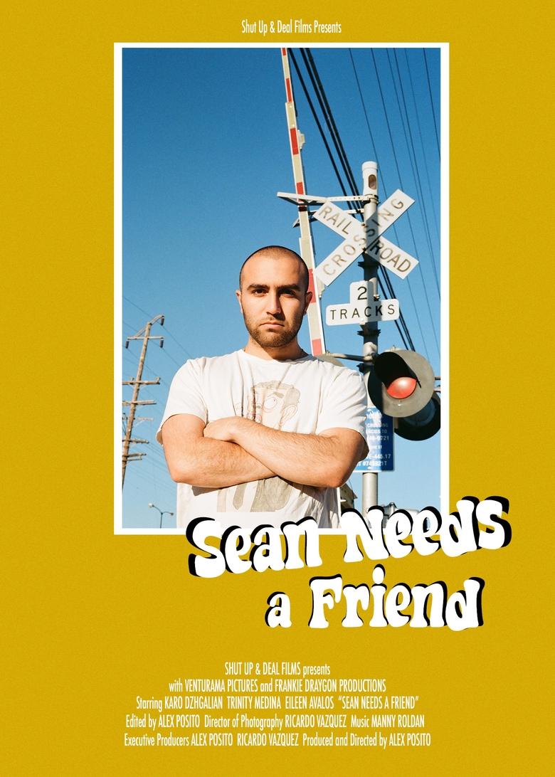 Poster of Sean Needs a Friend