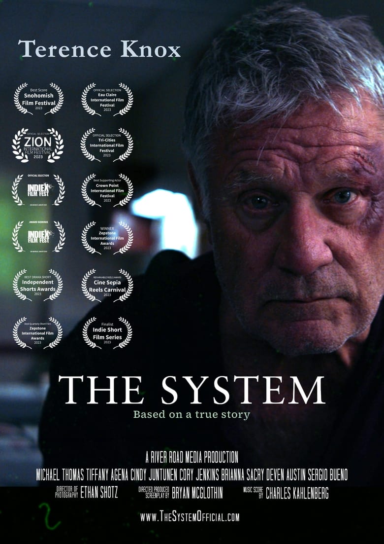 Poster of The System