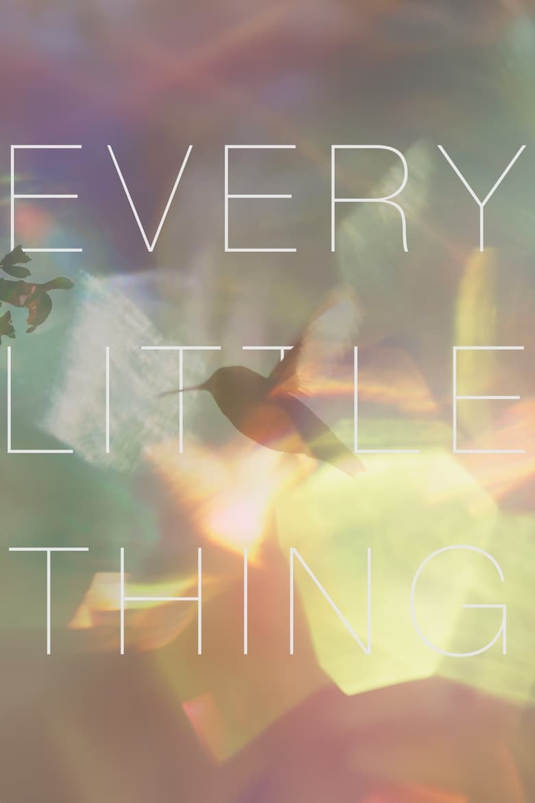 Poster of Every Little Thing