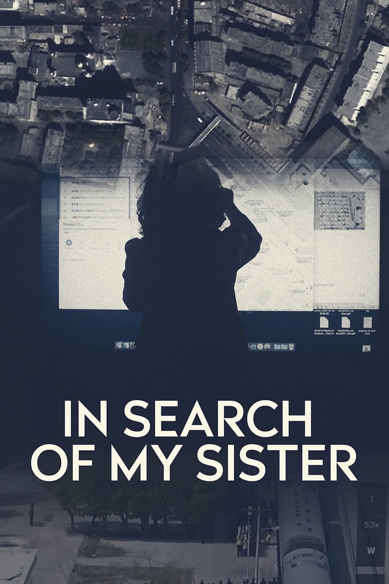 Poster of In Search of My Sister