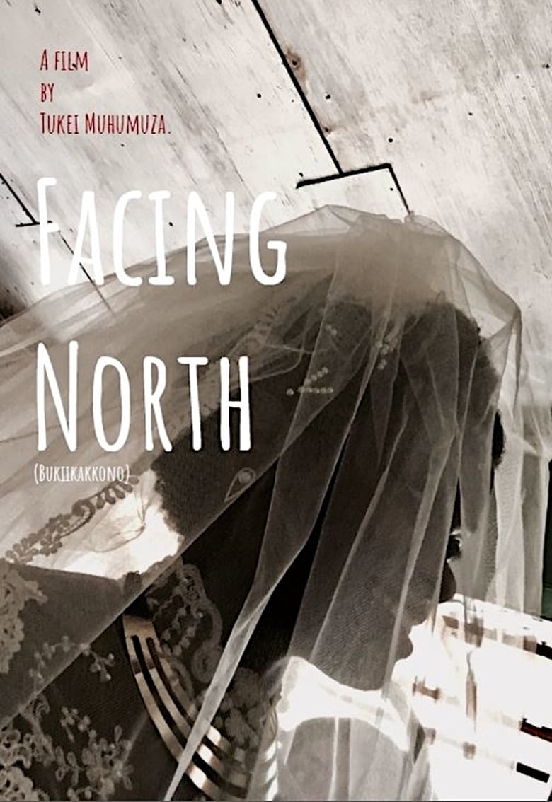 Poster of Facing North