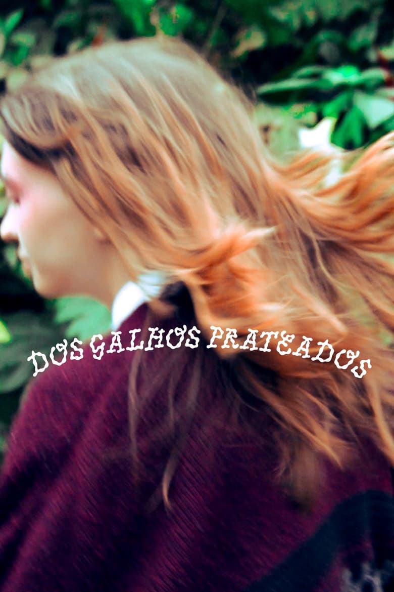 Poster of Dos Galhos Prateados