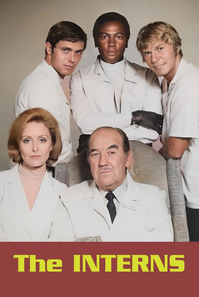 Poster of The Interns