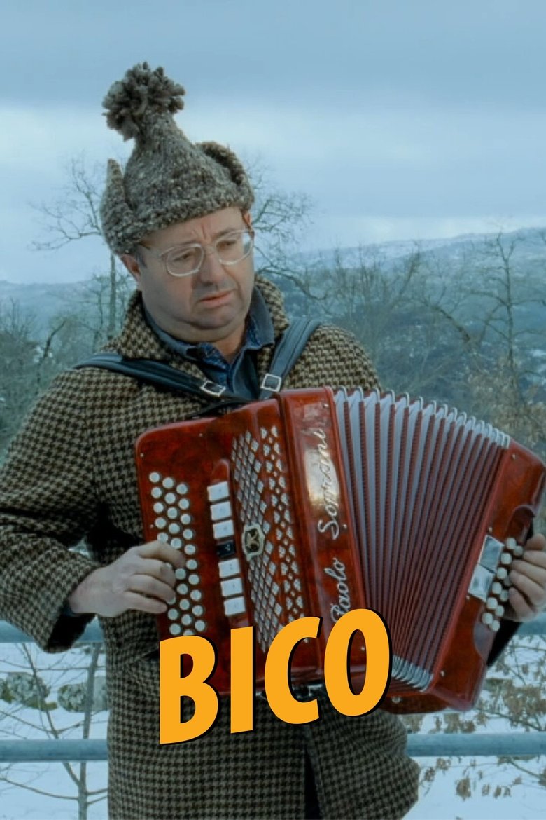 Poster of Bico