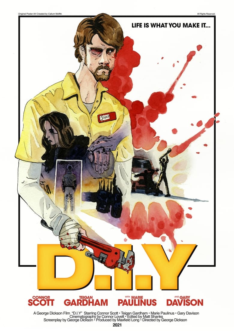 Poster of D.I.Y