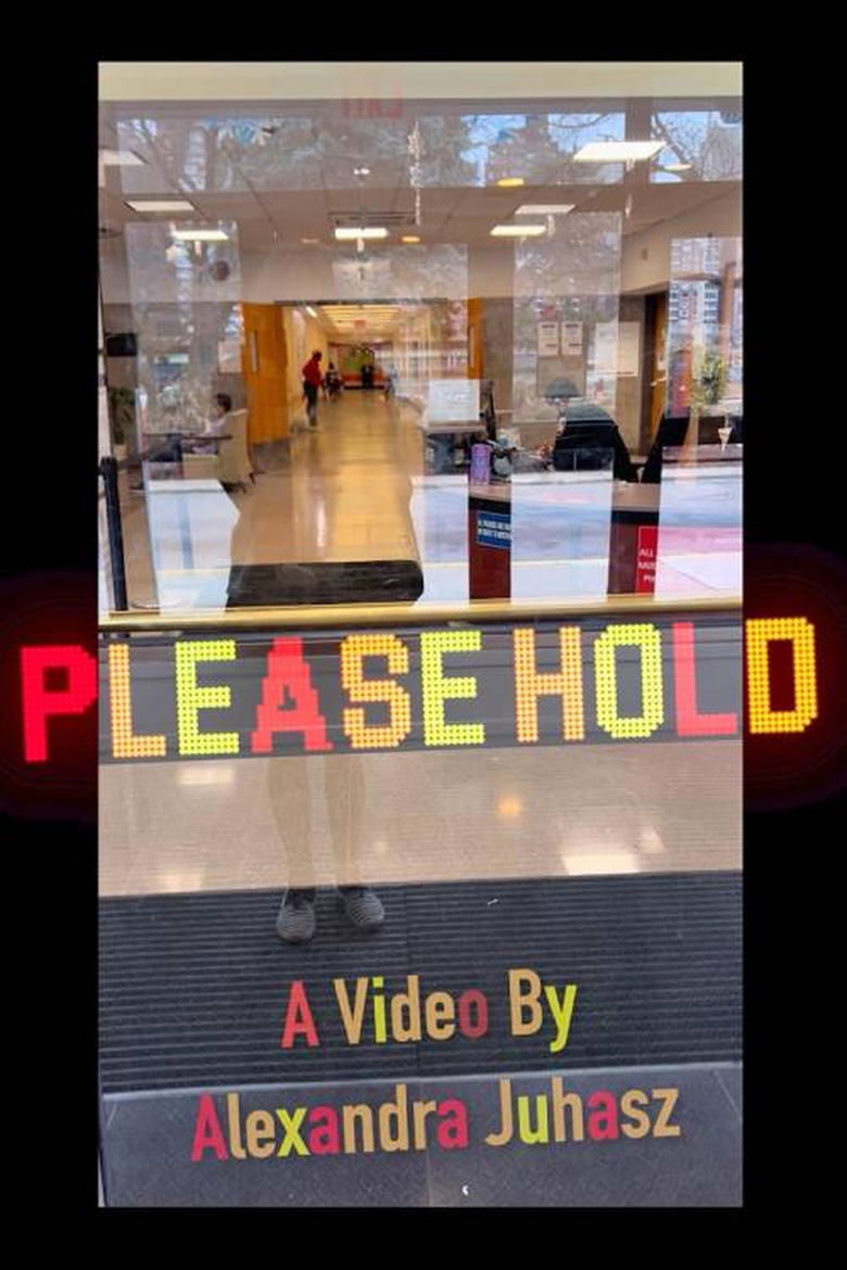 Poster of Please Hold