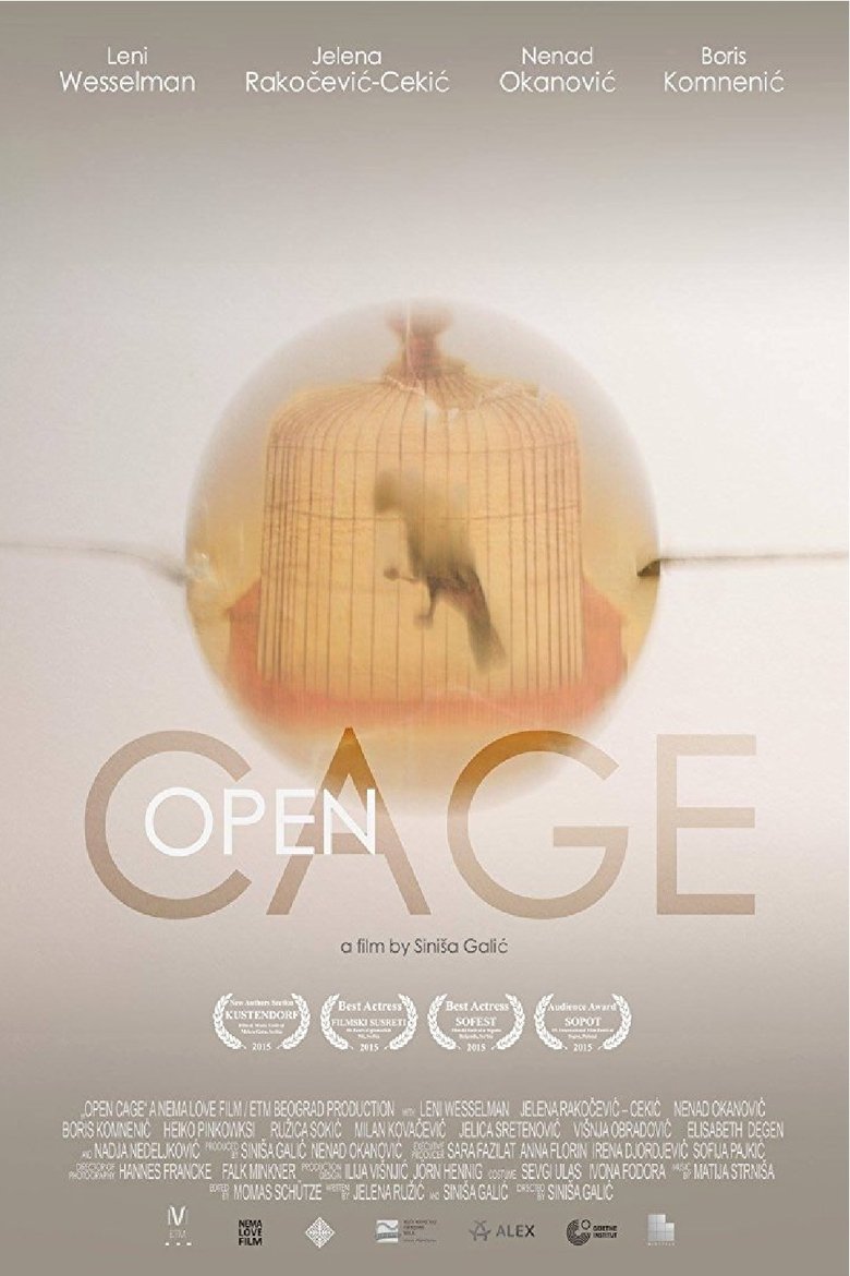 Poster of Open Cage