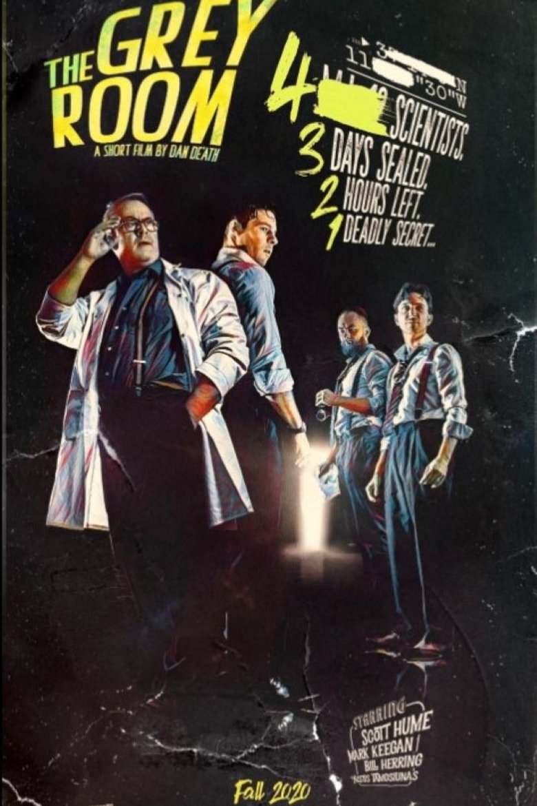 Poster of The Grey Room