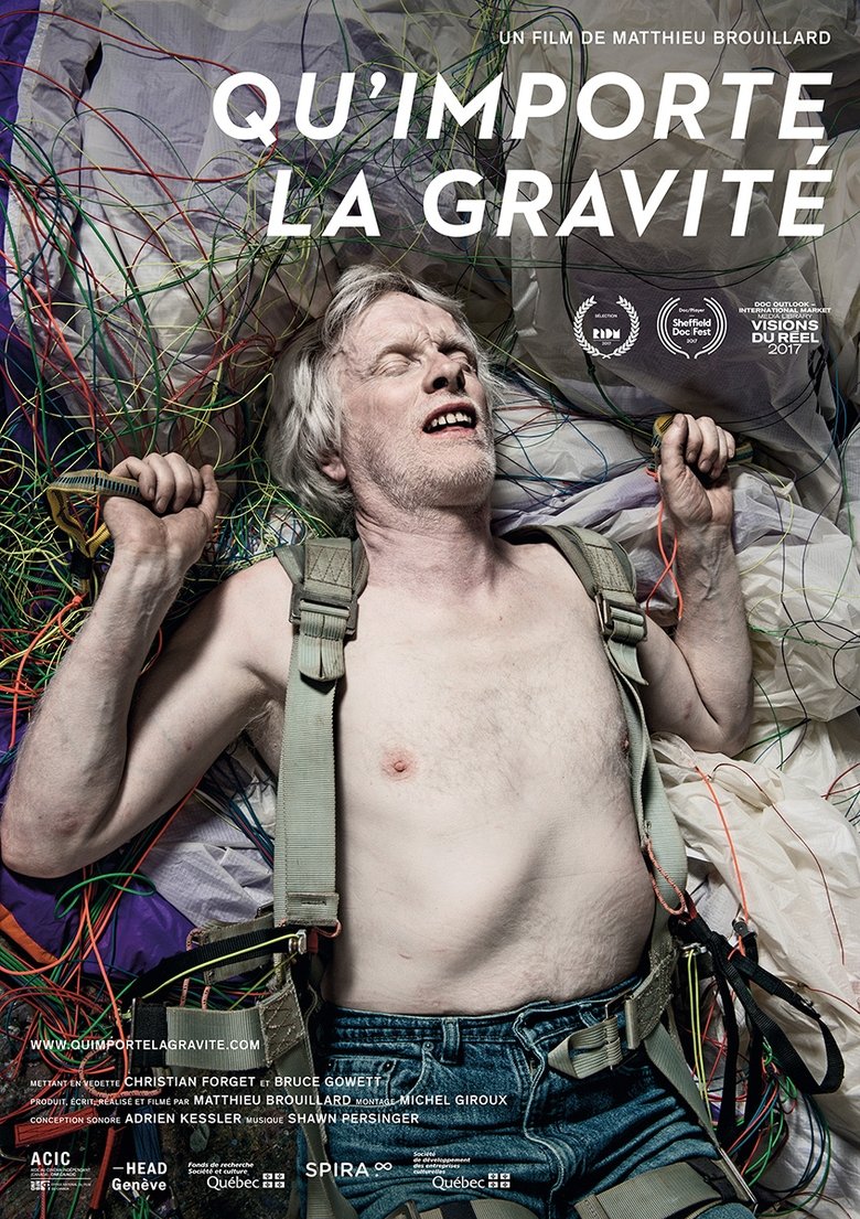 Poster of Regarding Gravity