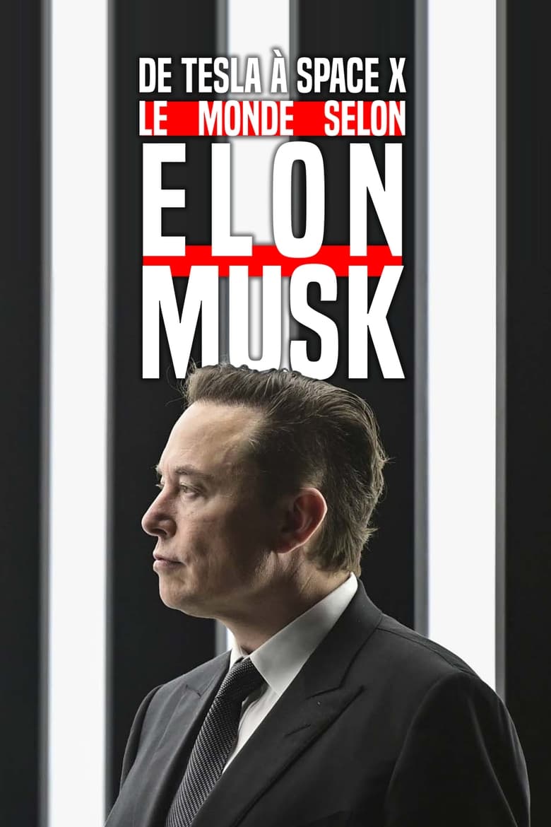 Poster of De Tesla à SpaceX, le monde selon Elon Musk