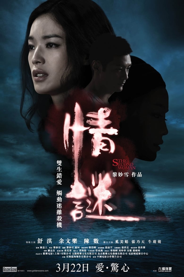 Poster of The Second Woman