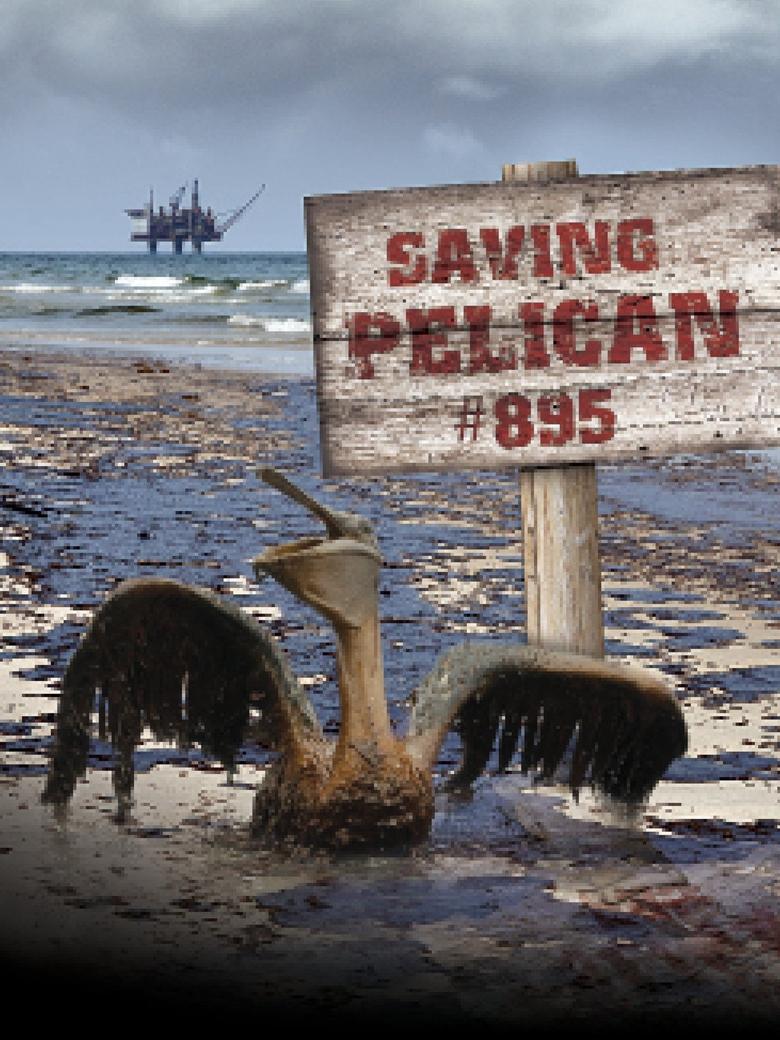 Poster of Saving Pelican 895