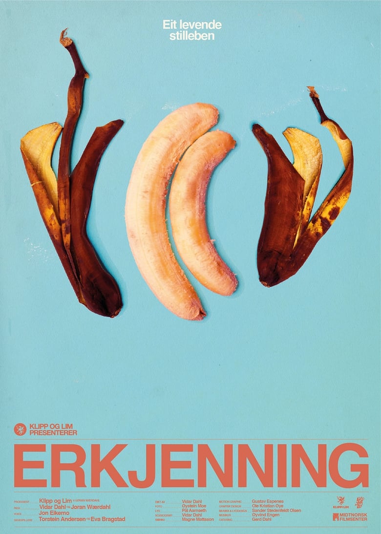 Poster of Erkjenning