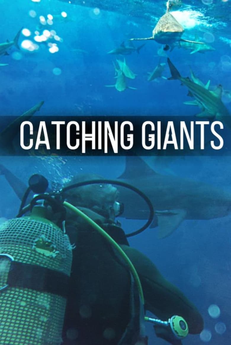 Poster of Catching Giants: Zambezi Shark