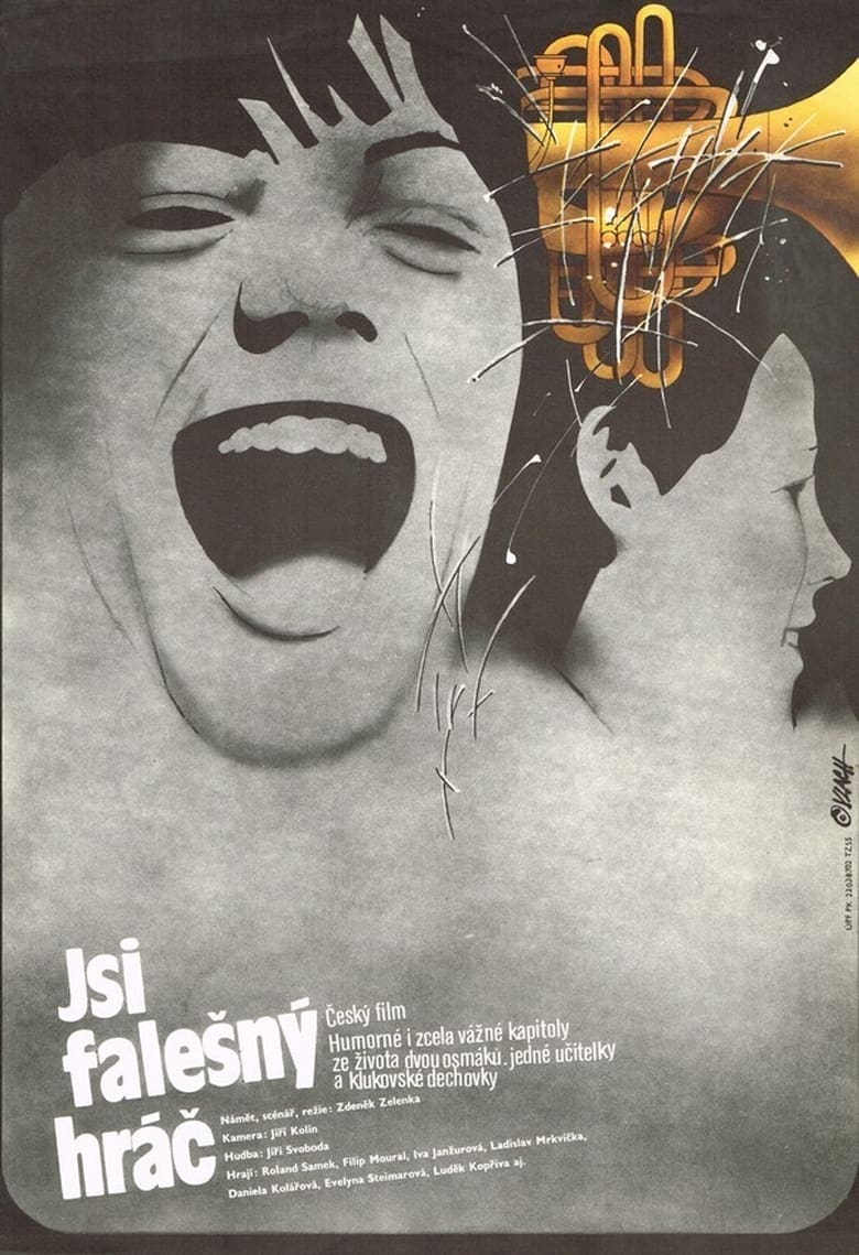 Poster of Jsi falešný hráč