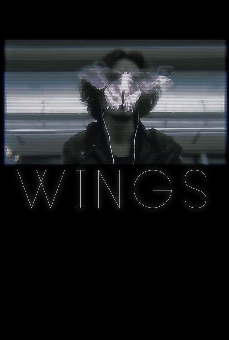 Poster of Wings