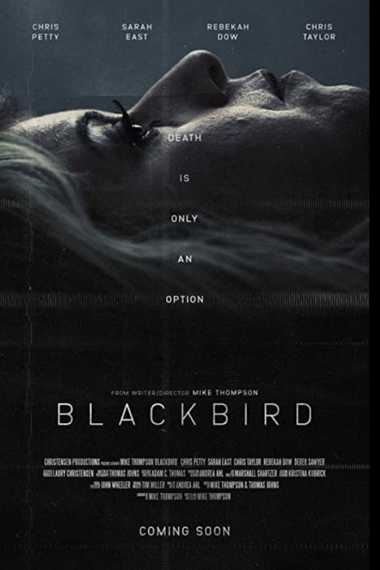 Poster of Blackbird