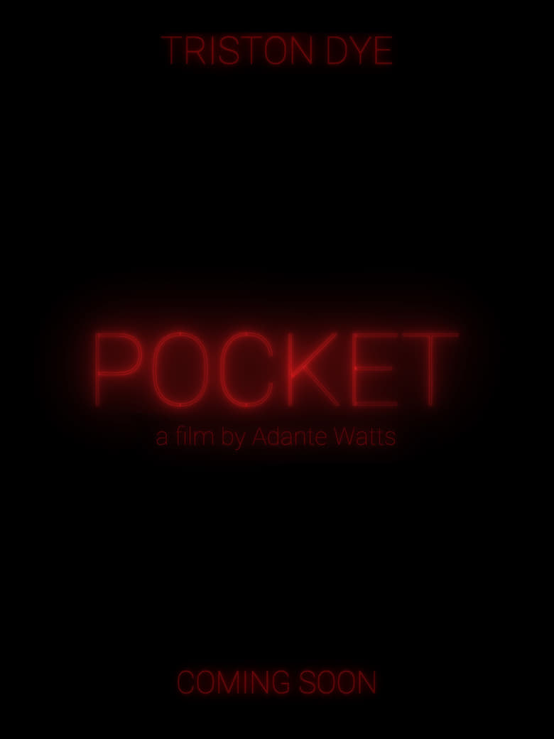 Poster of POCKET